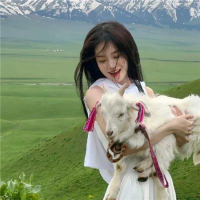 美术馆旁的动物园